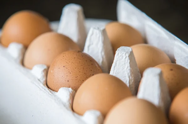 Chiken Eier in einer Schachtel verpackt. — Stockfoto