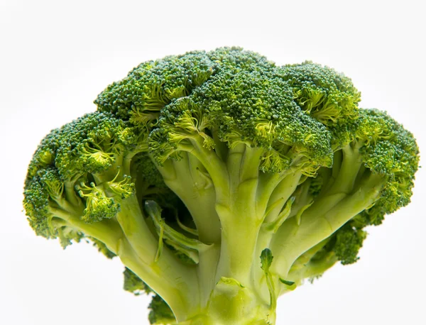 Fresh broccoli solated on a white background — Stock Photo, Image