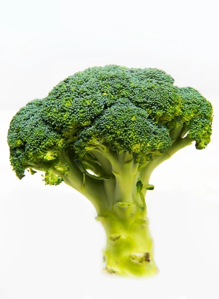 Fresh broccoli solated on a white background — Stock Photo, Image