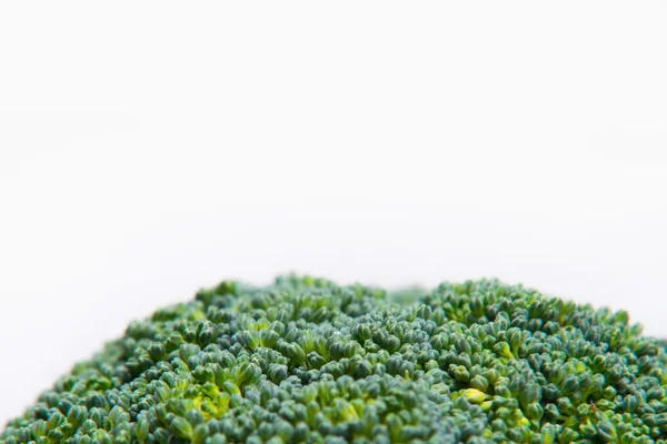 Close up on Fresh broccoli solated on a white background — Stock Photo, Image