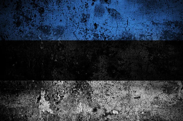 Grunge Bandeira da Estónia com capital em Tallinn — Fotografia de Stock