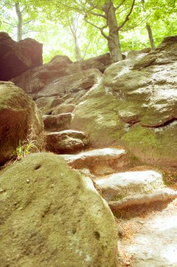 Vintage sonbahar orman dağ yolu