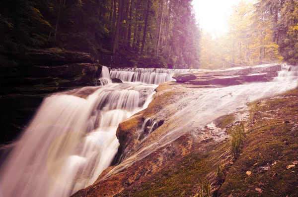 Vintage photo of river in forest — Stock Photo, Image