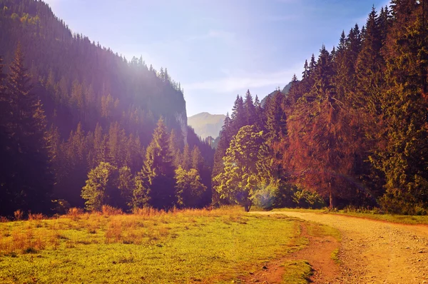 塔特拉山景观的旧照片 — 图库照片