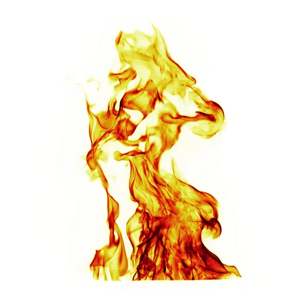 Fire flames on white background — Stock Photo, Image