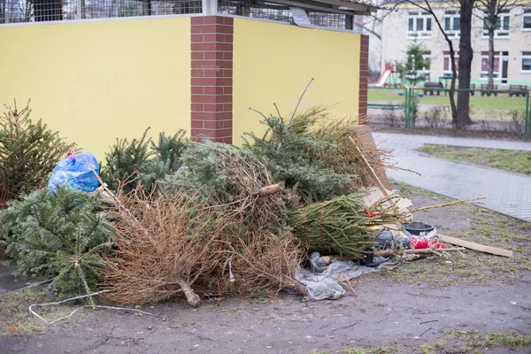 Afgedankte kerstbomen, vuilnis na Kerstmis — Stockfoto