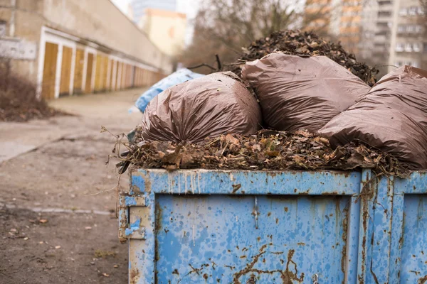 Herfst bladeren in een vuilnisbak — Stockfoto