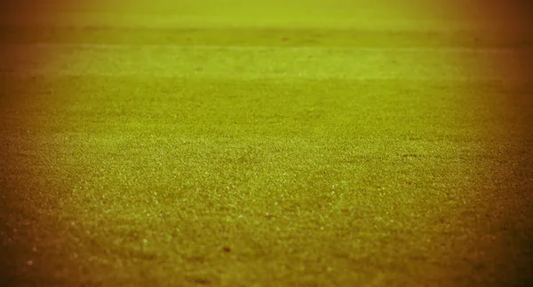 Autumn vintage nature grass background. — Stock Photo, Image