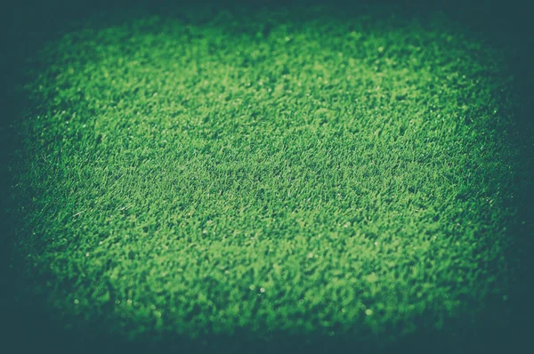 Archiwalne zdjęcie pola trawy — Zdjęcie stockowe