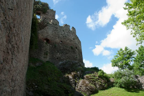 Ortaçağ Kalesi — Stok fotoğraf