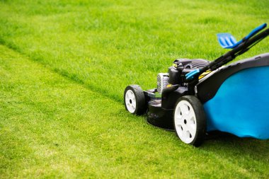 Bahçedeki çim biçme makinesi.