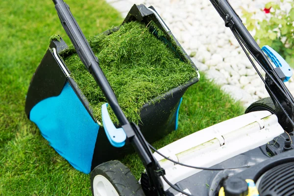 Gräsklippare i trädgården. full av gräs — Stockfoto