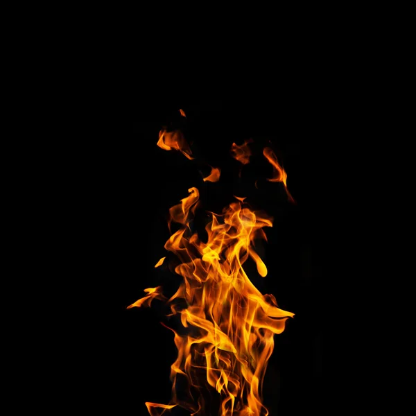 Chama de fogo único no fundo preto em alta resolução . — Fotografia de Stock