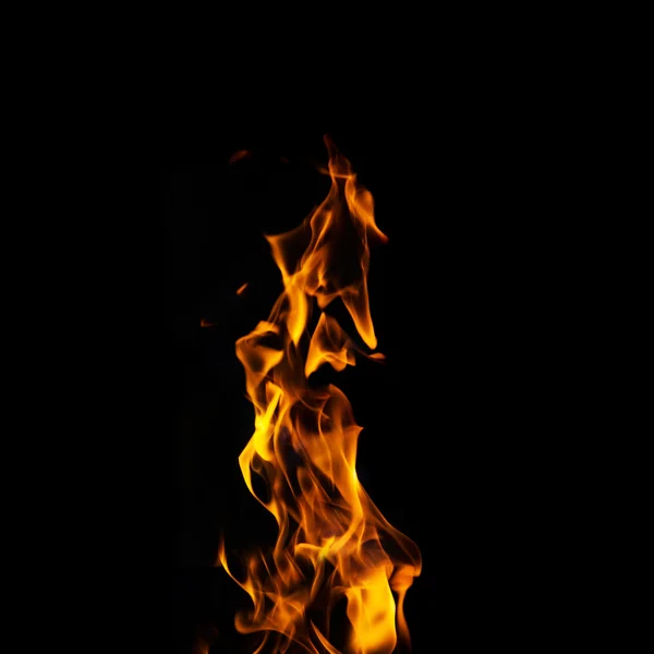 在高分辨率中的黑色背景上的单个火灾火焰. — 图库照片