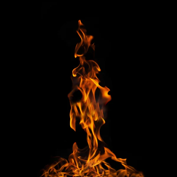 Chama de fogo único no fundo preto em alta resolução . — Fotografia de Stock