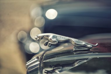 Sleza, Polonya, 15 Ağustos 2015: eski Vintage Jaguar şarkı Polonya 15 Ağustos 2015 Motorclassic şovdaki üzerinde kapat