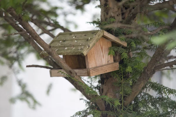 Pequena casa de pássaros em uma árvore — Fotografia de Stock