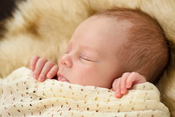 Foto de um bebê recém-nascido enrolado dormindo em um cobertor — Fotografia de Stock