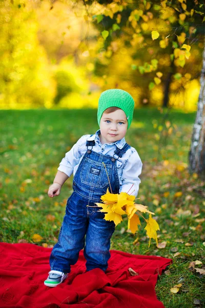 Happy little child, baby girl laughing and playing in the autumn — Stock Photo, Image