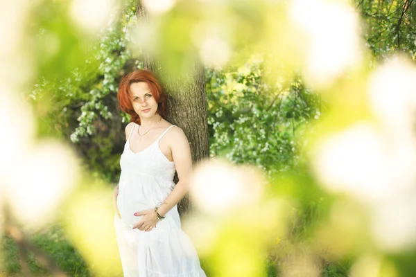 Jonge zwangere vrouw tegen bloeiende boom in het voorjaar — Stockfoto