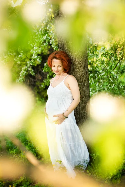 꽃 나무에 대 한 임신한 여자 — 스톡 사진