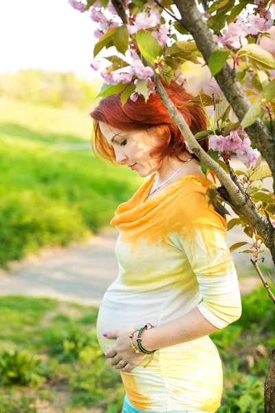 꽃 나무에 대 한 임신한 여자 — 스톡 사진
