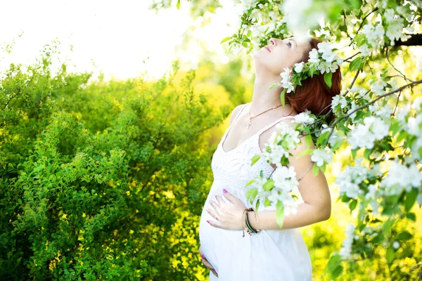 Hamile kadın elma bahçesi — Stok fotoğraf