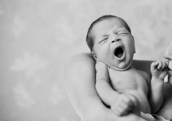 Bebé recién nacido en las manos de los padres Imagen de stock