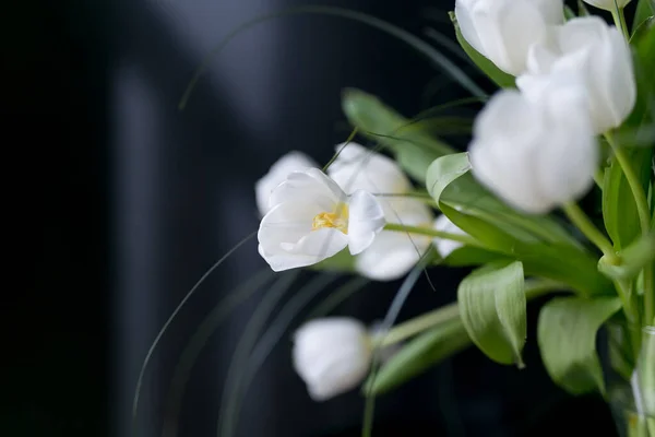Красивые Белые Тюльпаны Черном Фоне — стоковое фото