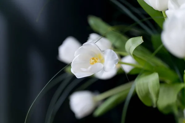 Красивые Белые Тюльпаны Черном Фоне — стоковое фото