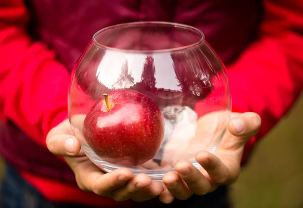 Manzana en manos humanas —  Fotos de Stock