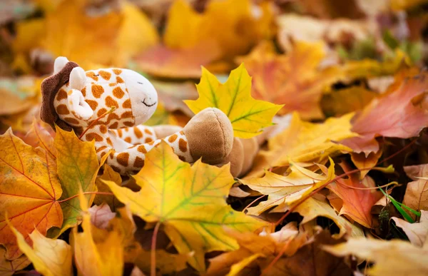 Otoño en el parque —  Fotos de Stock