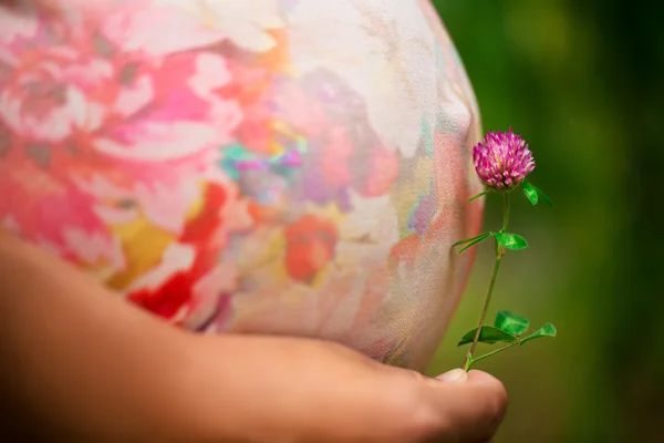 Mulheres grávidas com a bela barriga — Fotografia de Stock