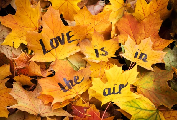 Liefde is in de lucht op Herfstbladeren — Stockfoto