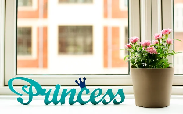 Pink flowers in pot on windowsill — Stock Photo, Image