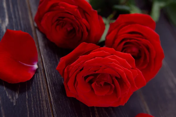 Beautiful Bright Large Roses Petals Dark Wooden Background — Stock Photo, Image