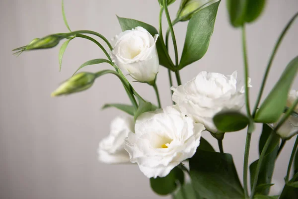 Beautiful pure white Lisianthus flower on a white background - White rose-selective focus