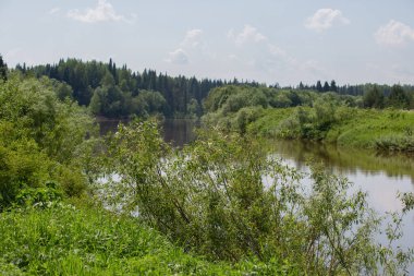 Güzel nehir kıyısı Mavi gökyüzünün altında Cumulus bulutları ile bir yaz günü