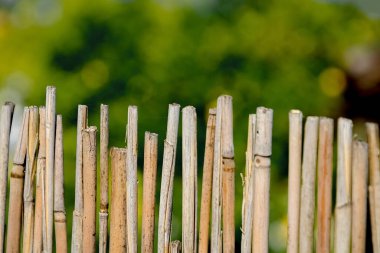 Bahçedeki dallardan yapılmış bir çit.