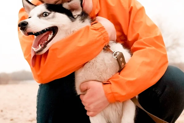 Ragazzo Giacca Arancione Abbraccia Cane Husky Camminando Sulla Stree — Foto Stock