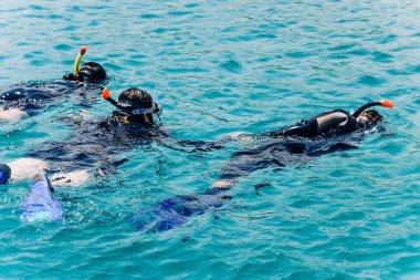 Bir grup insan İsrail 'de kızıl denizde dalış yaparken suda yüzüyor.