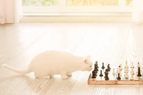 Cute White Cat Playing Chess Pet Strategist Horizontal Imag — Stock Photo, Image