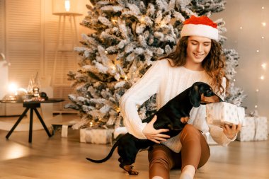 Siyah saçlı beyaz kazaklı güzel kıvırcık kız yere oturuyor ve elinde bir Noel ağacının arka planında bir hediye tutuyor. Mutlu yıllar portresi, bir dilek diliyor ve siyah bir daksund ile oynuyor.