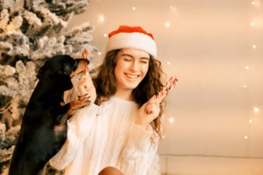 Kıvırcık saçlı güzel bir kız Noel ağacının yanında bir köpekle oturuyor. Yeni yıl için şeker lolipopuyla fotoğraf çekimi..