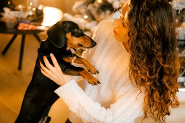 Güzel kıvırcık saçlı bir kız, Noel ağacının yanında bir köpek yavrusuyla oturuyor. Bir evcil hayvanla yılbaşı fotoğrafı. Kollarında köpek pençesi tutan bir kız. .