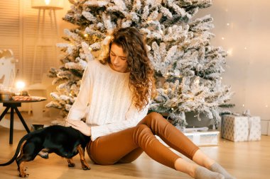Güzel kıvırcık saçlı bir kız, Noel ağacının yanında bir köpek yavrusuyla oturuyor. Bir evcil hayvanla yılbaşı fotoğrafı. Kollarında köpek pençesi tutan bir kız. .