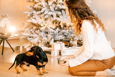 Beyaz kazaklı kıvırcık saçlı bir kız odada yerde oturuyor. Kadın ve köpek odada oynuyorlar. Kız köpeği besliyor..