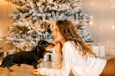 Güzel kıvırcık saçlı bir kız, Noel ağacının yanında bir köpek yavrusuyla oturuyor. Bir evcil hayvanla yılbaşı fotoğrafı. Kollarında köpek pençesi tutan bir kız. .