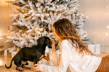 Güzel kıvırcık saçlı bir kız, Noel ağacının yanında bir köpek yavrusuyla oturuyor. Bir evcil hayvanla yılbaşı fotoğrafı. Kollarında köpek pençesi tutan bir kız. .