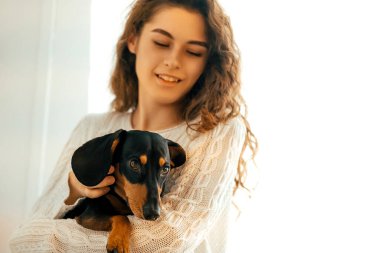 Koyu saçlı beyaz kazaklı güzel kıvırcık kız bir koltuğa oturur ve kollarında siyah bir dachshund tutar. Bir Noel ağacının ve beyaz bir pencerenin arkasında mutlu yıllar portresi